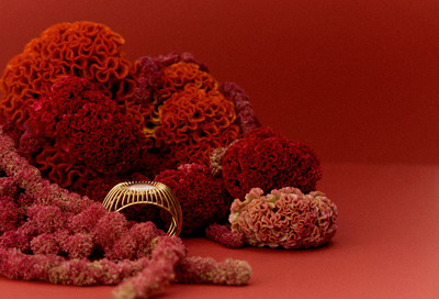 Vanity Fair - © Lambert | Lambert