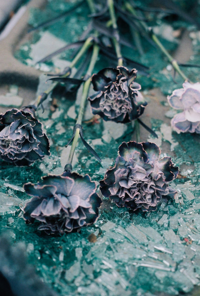 Wreckage - © Lambert | Lambert