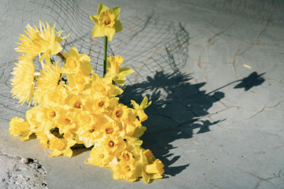 Yellow - © Lambert | Lambert