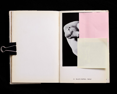 Anima - Issue 4 - © Lambert | Lambert