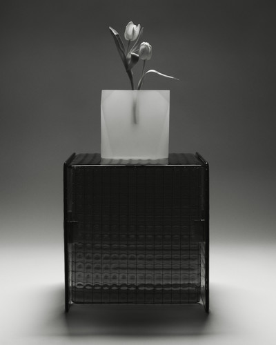 Anima - Issue 4 - © Lambert | Lambert