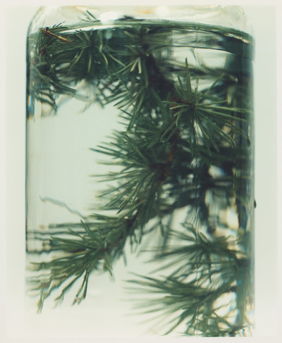 Atelier Cologne - © Lambert | Lambert