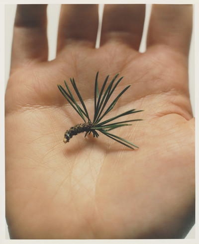 Atelier Cologne - © Lambert | Lambert