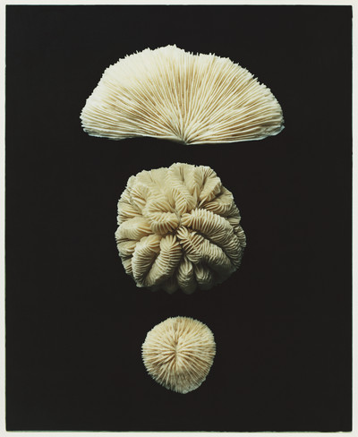 Bergdorf Goodman - © Lambert | Lambert