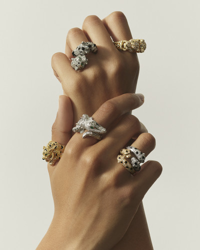 Cartier Fauna - © Lambert | Lambert