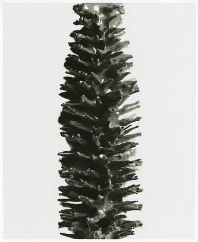 Carton - © Lambert | Lambert