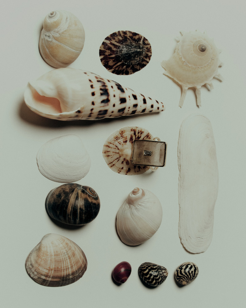 Anna Grace Blower - © Lambert | Lambert