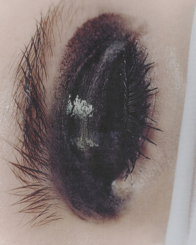 Beauty - © Lambert | Lambert