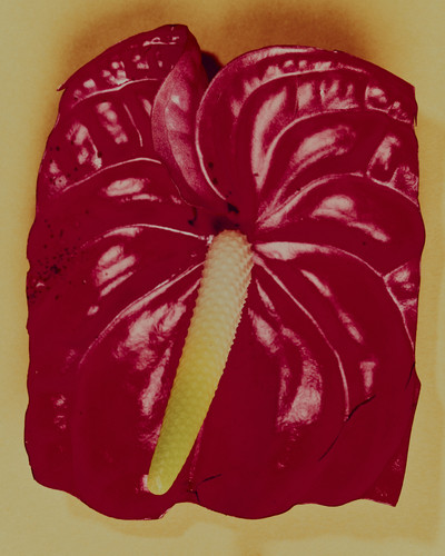 Mecca Fragrances - © Lambert | Lambert