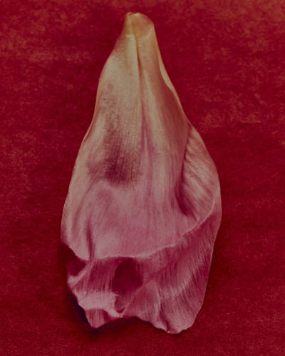 Mecca Fragrances - © Lambert | Lambert