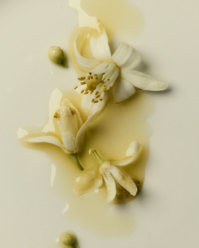 Pink Wonder - © Lambert | Lambert