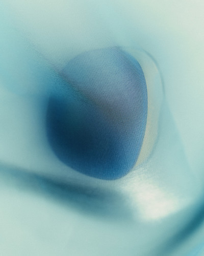Violette FR - © Lambert | Lambert