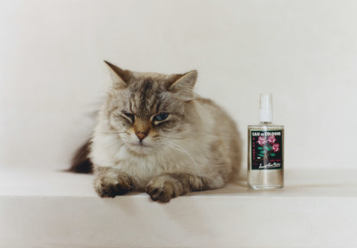 Alla Carta - Toscana - © Lambert | Lambert