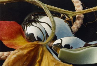 Alla Carta - Toscana - © Lambert | Lambert