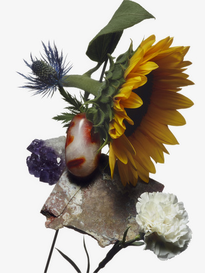 A Magazine - © Lambert | Lambert