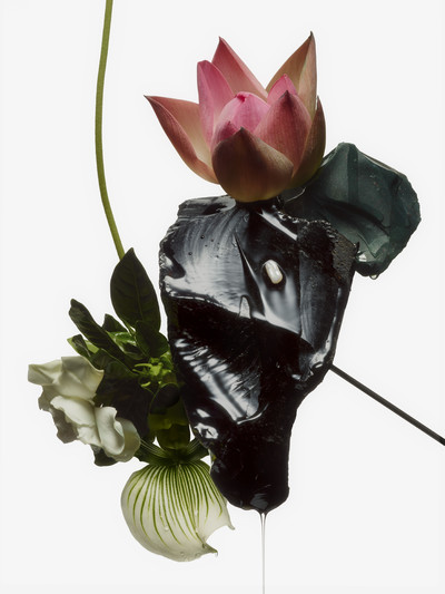 A Magazine - © Lambert | Lambert