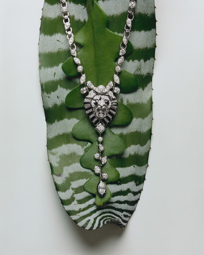 Bolero Magazine - © Lambert | Lambert