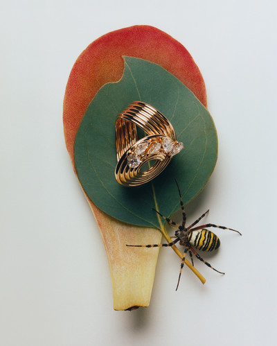 Bolero Magazine - © Lambert | Lambert