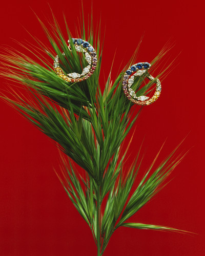 D la Repubblica - Jewels - © Lambert | Lambert