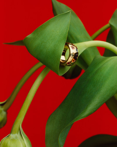 D la Repubblica - Jewels - © Lambert | Lambert