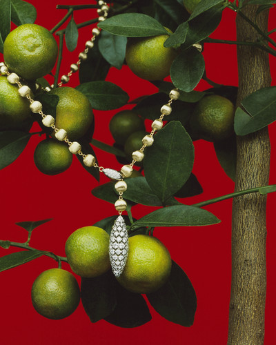 D la Repubblica - Jewels - © Lambert | Lambert