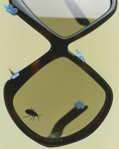 D La Repubblica - Sunglasses - © Lambert | Lambert