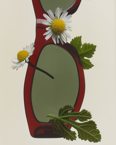 D La Repubblica - Sunglasses - © Lambert | Lambert