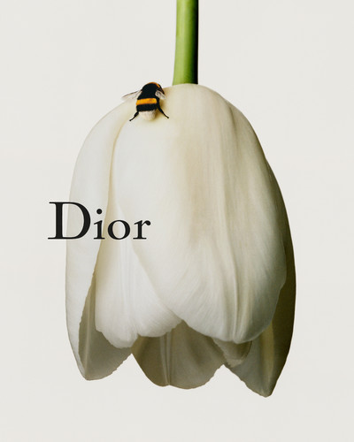 Dior Shinsaibashi - © Lambert | Lambert