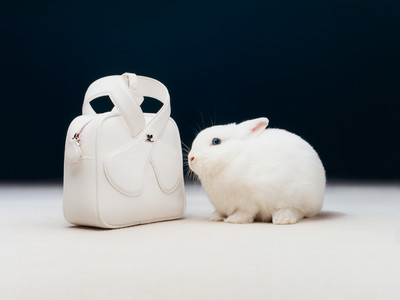 ELLE USA - © Lambert | Lambert