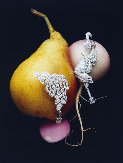 Harper&#8217;s Bazaar Italy - © Lambert | Lambert