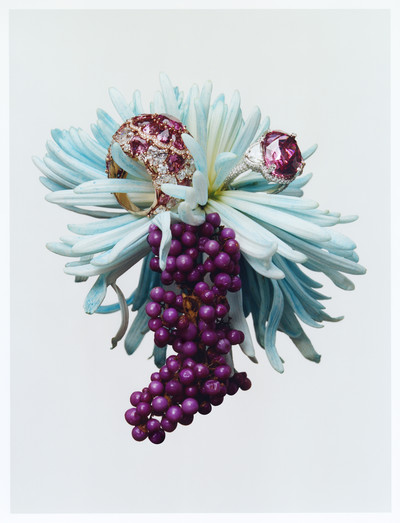 Harper’s Bazaar - © Lambert | Lambert