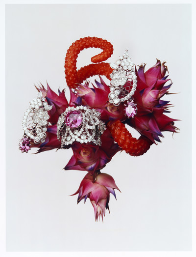 Harper’s Bazaar - © Lambert | Lambert