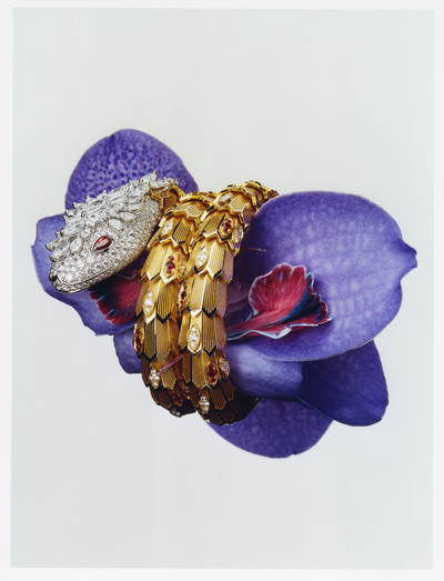 Harper’s Bazaar - © Lambert | Lambert