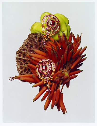 Harper’s Bazaar - © Lambert | Lambert