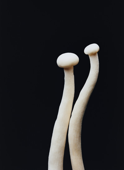 Le gout de M - Japon - © Lambert | Lambert