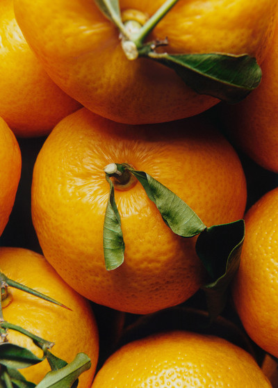 Le gout de M - Japon - © Lambert | Lambert