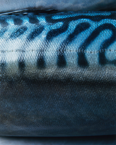 Le gout de M - Japon - © Lambert | Lambert