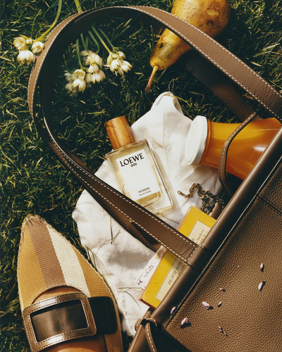 Loewe Perfumes - © Lambert | Lambert