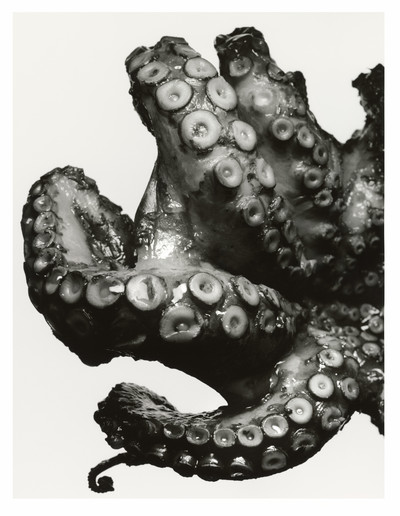 Le Goût de M - © Lambert | Lambert