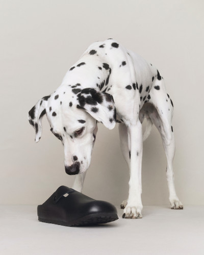 Madhappy X Birkenstock - © Lambert | Lambert