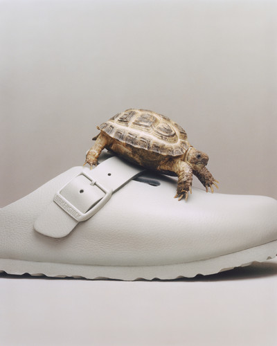 Madhappy X Birkenstock - © Lambert | Lambert