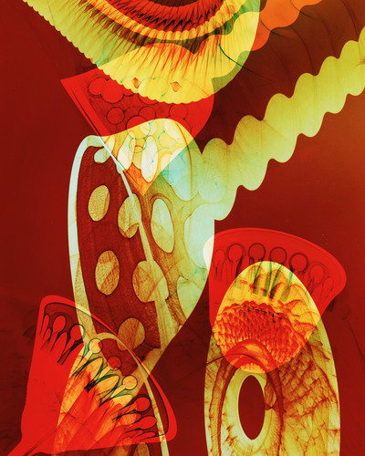 Photograms - © Lambert | Lambert