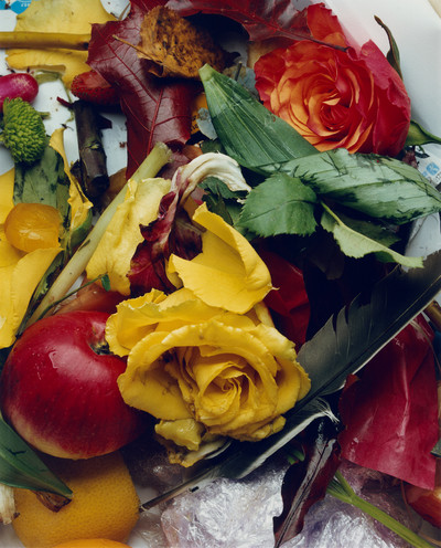 Sidewalk Stills - © Lambert | Lambert