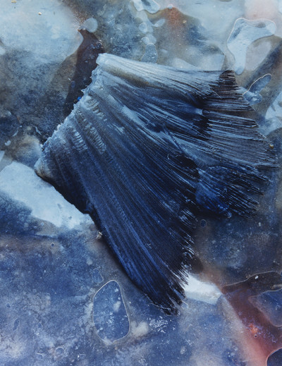 Sidewalk Stills - © Lambert | Lambert