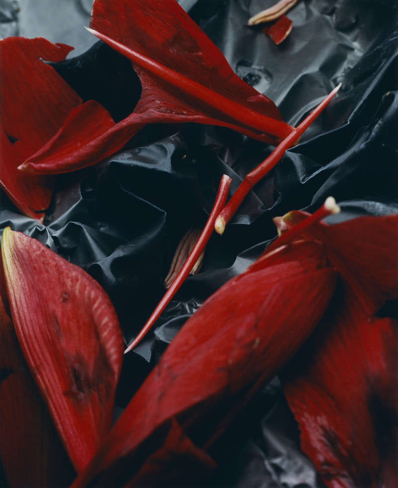 Sidewalk Stills - © Lambert | Lambert