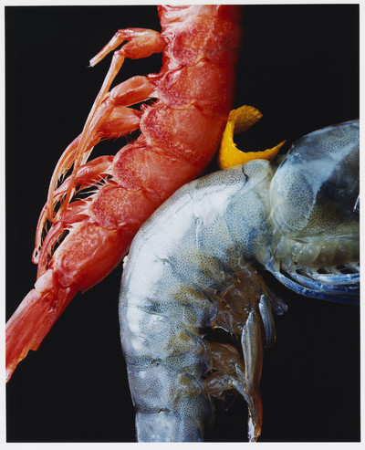 The Dodler Grand - © Lambert | Lambert