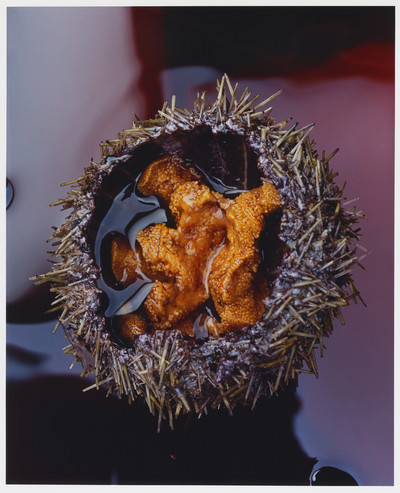 The Dodler Grand - © Lambert | Lambert