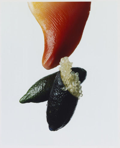 The Dodler Grand - © Lambert | Lambert