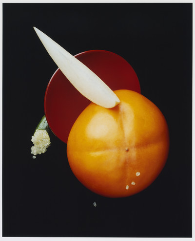 The Dodler Grand - © Lambert | Lambert