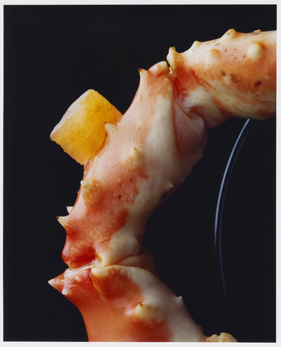 The Dodler Grand - © Lambert | Lambert